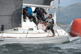 shadowfax gbr8930t shadowfax gbr8930t whyw16 sun 800 0691w